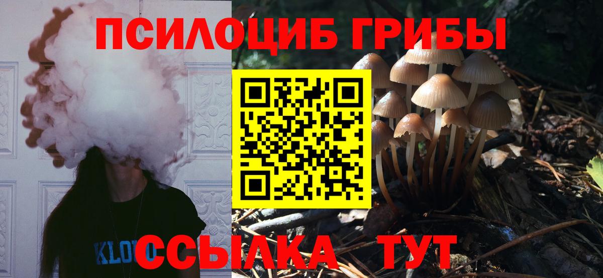 Галлюциногенные грибы MAGIC MUSHROOMS  Вход с VPN  Северодвинск 