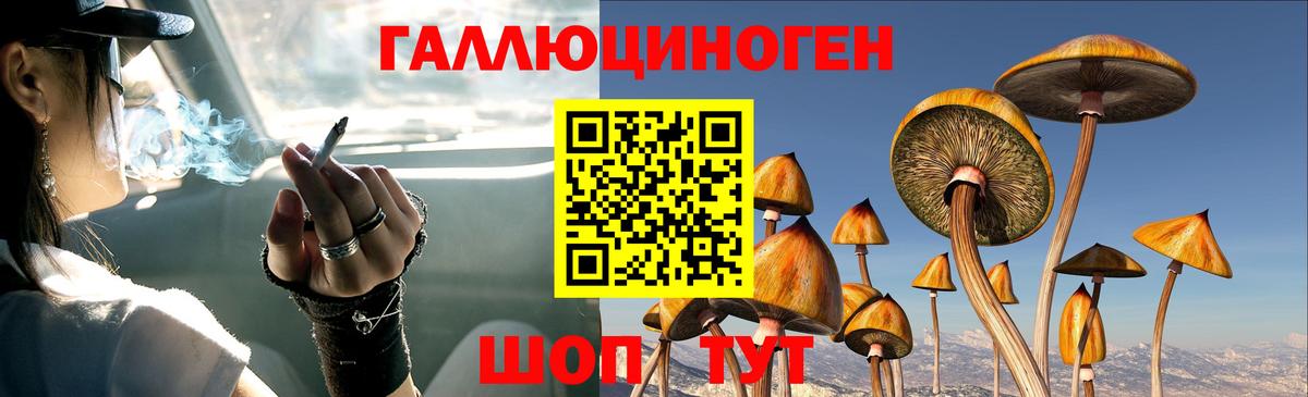 Галлюциногенные грибы прущие грибы Северодвинск