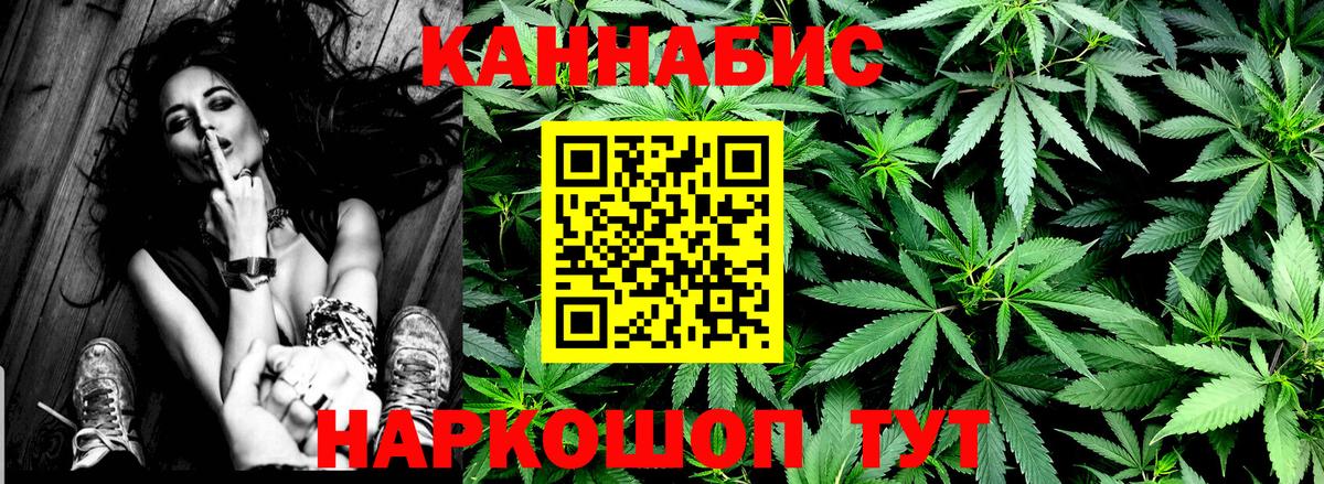 Бошки Шишки семена Северодвинск